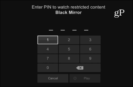 Netflix-pincode