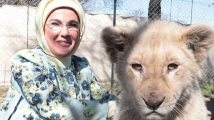 First Lady Erdoğan nam een ​​foto met leeuwen