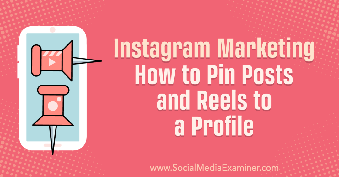 Instagram-marketing: berichten en rollen vastzetten op een profiel-sociale media-onderzoeker