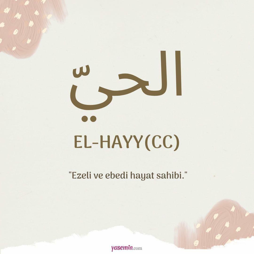 Wat betekent al-Hayy (c.c)?