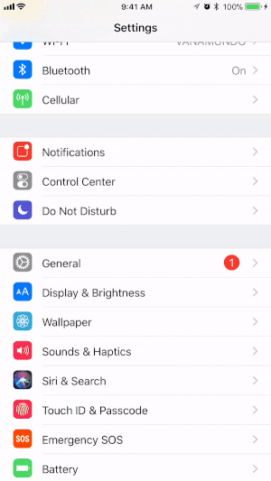 Voeg de functie Schermopname toe aan het Control Center van uw iOS-apparaat.