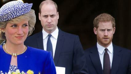Geef de prinsen de schuld van de BBC... Prins William: Dat interview heeft ons gezin kapot gemaakt!