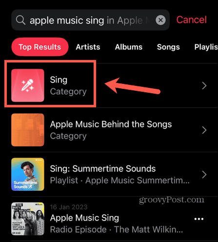 apple muziek zingen categorie