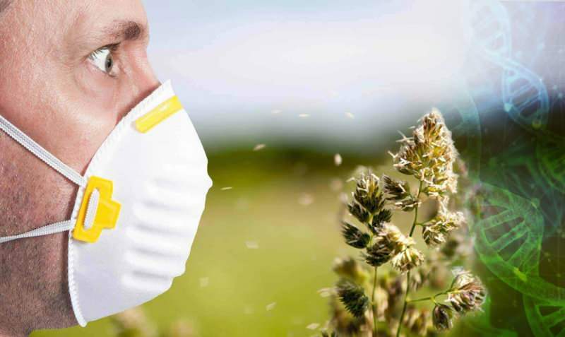 allergie voor pollen toegenomen