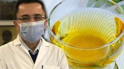 Wonderthee tegen het virus: wat zijn de voordelen van olijfbladthee? Olijfbladthee maken