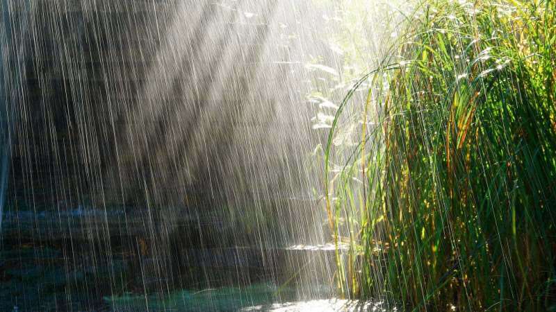 Gebeden om voorgelezen te worden aan het regenwater! Geneest de regen in april? Voordelen van aprilregen