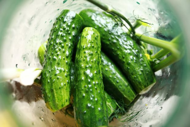Hoe maak je komkommer-augurken thuis? De trucs van beitsen