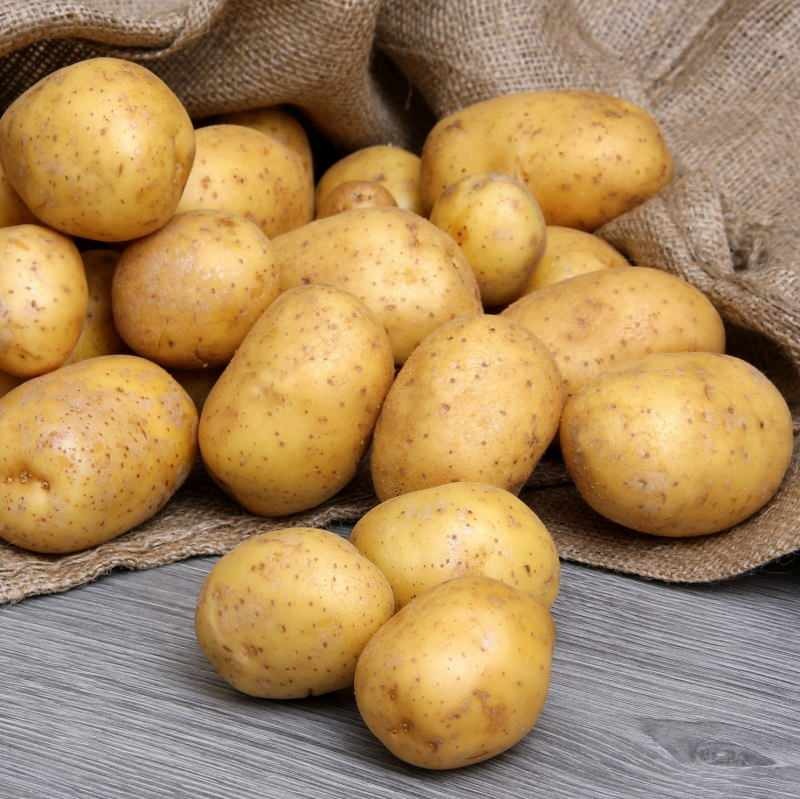 Wat is het verschil tussen eetbare aardappelen en frites