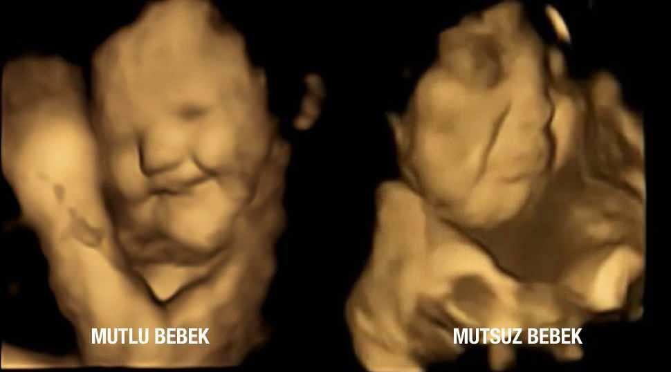 gelukkige baby in de baarmoeder
