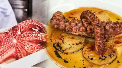Hoe octopus thuis schoonmaken en koken? De eenvoudigste kooktechniek voor octopussen