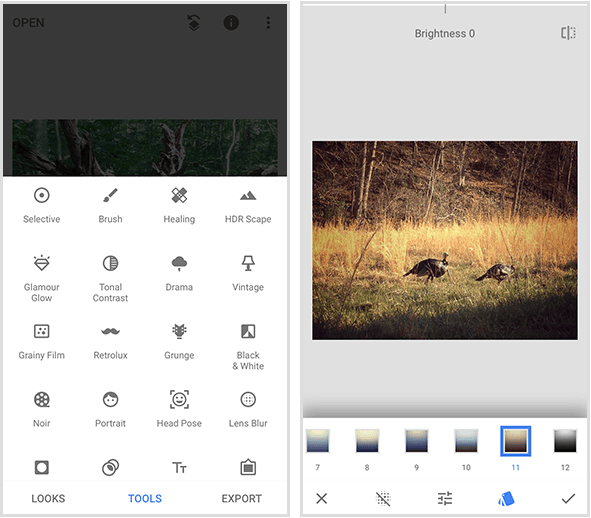 Een Snapseed-menu aan de linkerkant toont 20 verschillende tools, en een Snapseed-filtervoorbeeld aan de rechterkant toont een foto van twee wilde kalkoenen die in gouden gras lopen en een menu met filters onder aan een mobiel scherm.