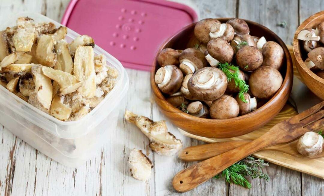 Hoe bewaar je champignons in de kast? Hoe bewaar je gewassen paddenstoelen in de kast? Opslagmethoden voor paddenstoelen