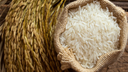 Hoe wordt het beste van rijst begrepen? 