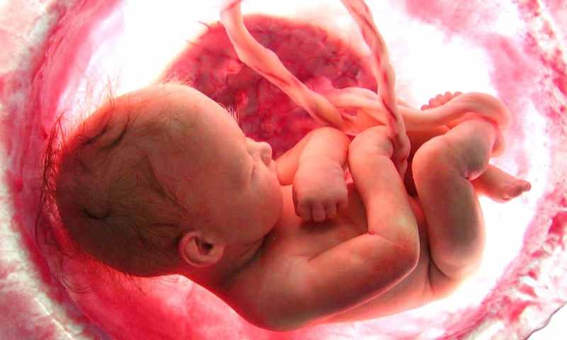 Geboorte van een baby in de baarmoeder