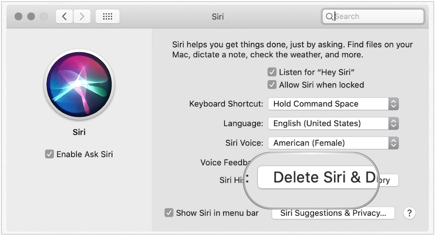 Verwijder Siri History op Mac