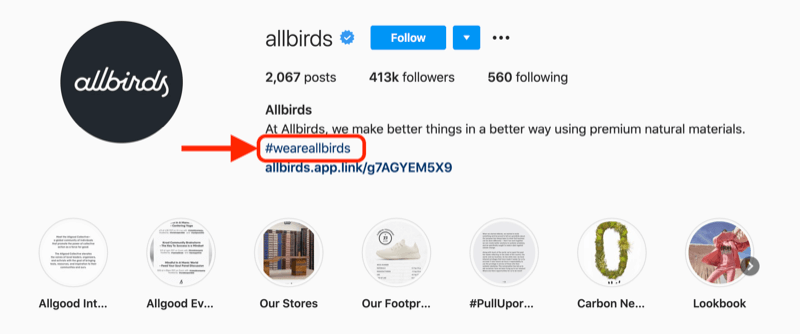 voorbeeld van een bedrijfshashtag die is opgenomen in de profielbeschrijving van het @allbirds Instagram-account