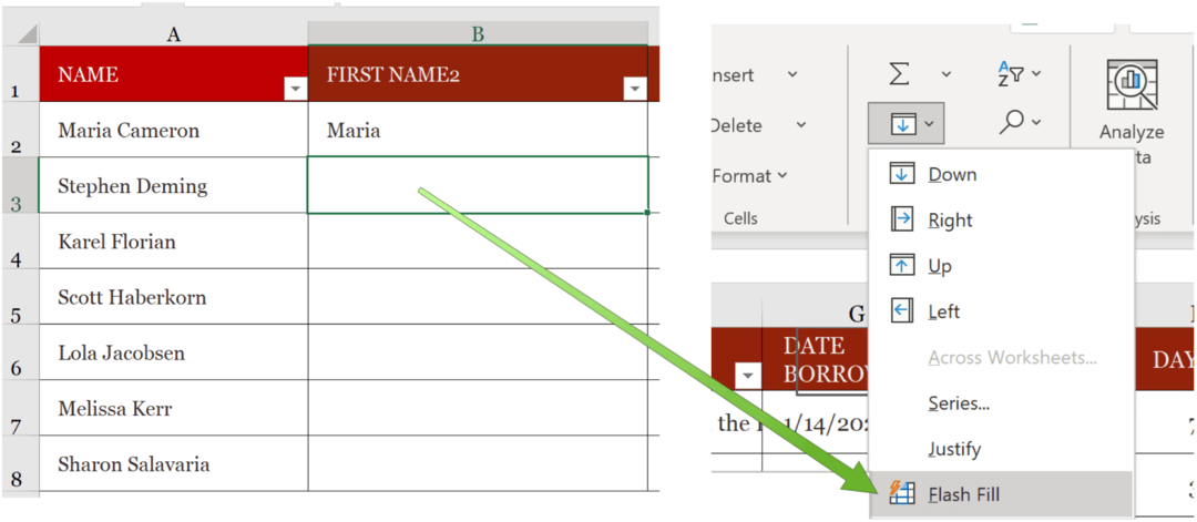 Microsoft Excel Flash-vulling