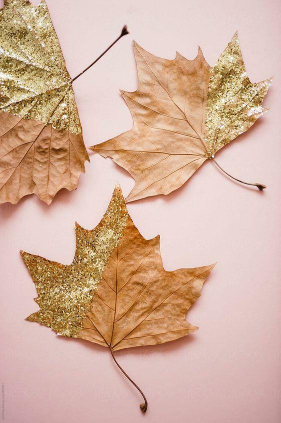 Wanddecoratie met gedroogde bladeren