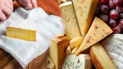 Hoe wordt kaas bewaard? Hoe moet kaas in de koelkast worden bewaard? Kaasgeur