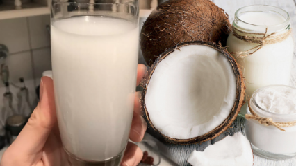 Wat doet kokoswater? Wat zijn de voordelen van kokos?