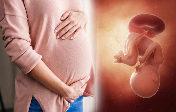 Wat zijn de symptomen van zwangerschap? Symptomen van vroege zwangerschap