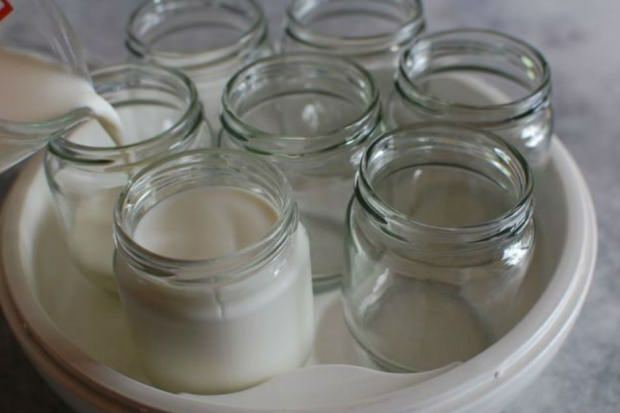 yoghurt van dorpsmelk
