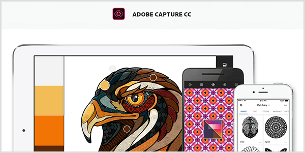Adobe Capture maakt een palet van een afbeelding die u vastlegt met een mobiel apparaat. De website toont een illustratie van een vogel en een palet gemaakt op basis van de illustratie, die lichtgrijs, geel, oranje en roodbruin bevat.