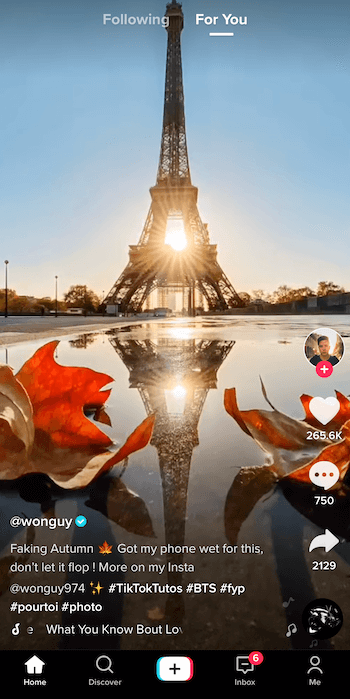 screenshot van tiktok-bericht door @ wonguy974 getiteld faking autumn, met de Eiffeltoren in silhouet en de ondergaande zon erachter met zijn weerspiegeling in een plas omlijst door twee herfstbladeren aan de onderkant van de beeld