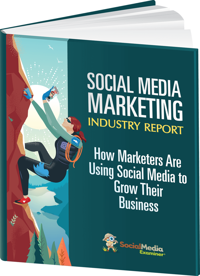 Verslag over de sociale media-marketingsector voor 2019.