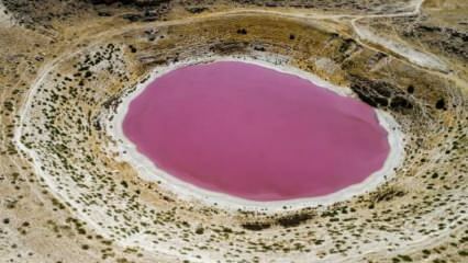 De kleur van Meyil Obruk Lake is roze geworden!