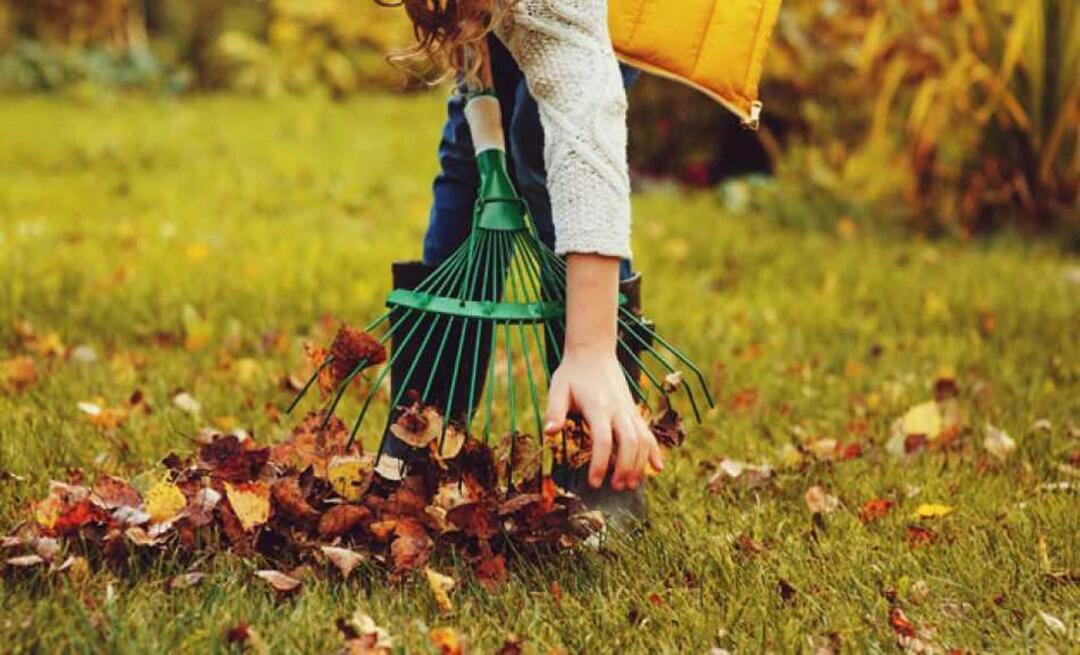 Hoe maak je de tuin schoon in de herfst? Wordt de tuin in de herfst geschoffeld? tuin schoonmaken