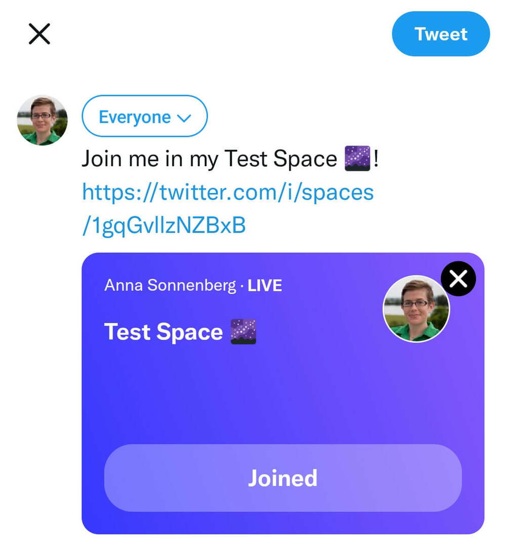 hoe-maken-twitter-spaces-share-space-tweet-linkedin-facebook-anna-sonnenberg-step-8