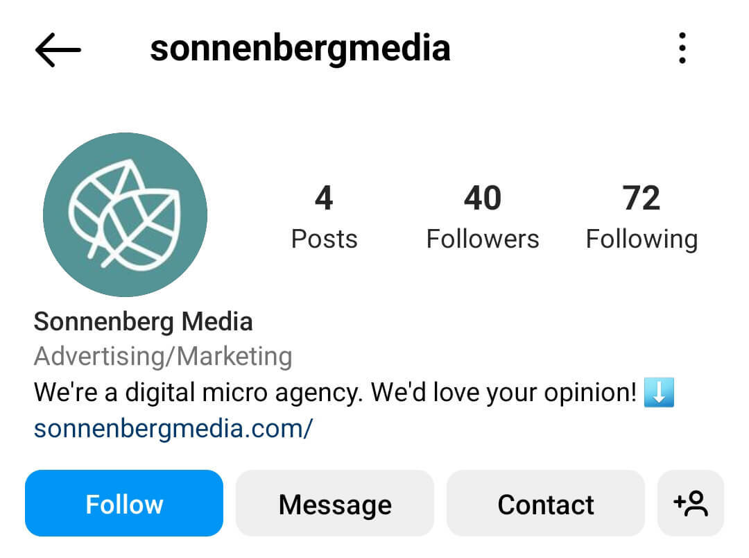 hoe-je-je-instagram-volgers-berichten-marktonderzoek-enquête-link-rechtstreeks-in-ig-bio-sonnenbergmedia-voorbeeld-13