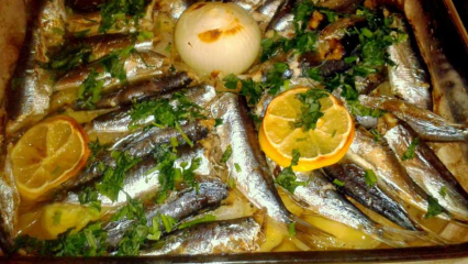 Hoe sardines te koken? Het gemakkelijkste recept voor sardines