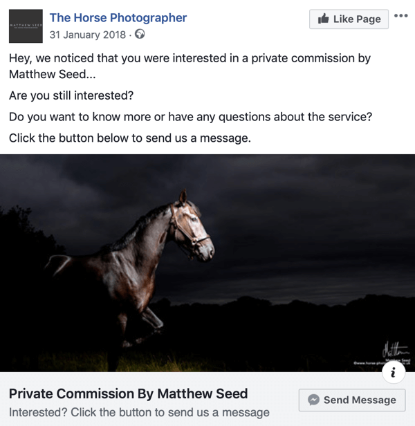 Hoe websitebezoekers te converteren met Facebook Messenger-advertenties, stap 3, voorbeeld van The Horse Photographer