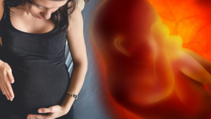 Heeft u een menstruatie terwijl u zwanger bent? Veroorzaakt bloedingen tijdens de zwangerschap?