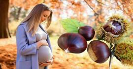 Kunnen zwangere vrouwen kastanjes eten? Voordelen van het eten van kastanjes tijdens de zwangerschap voor de baby en de moeder