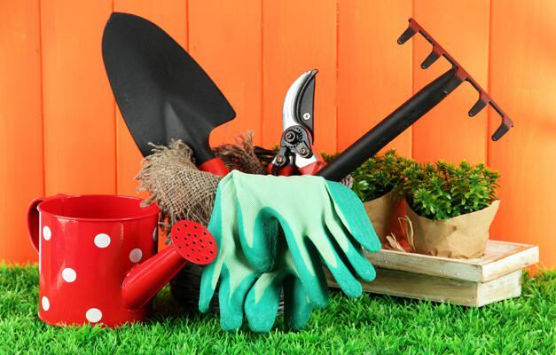 hoe je de tuin schoonmaakt
