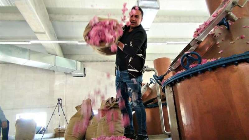 Berdan Mardini heeft in zijn geboorteplaats een rozenoliefabriek opgericht!