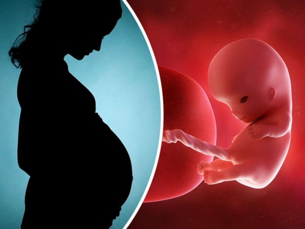 Hoe wordt de ongeboren baby geboren? Stap voor stap geboorteproces ...