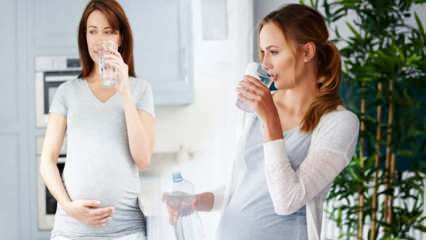 Voordelen van drinkwater voor zwangere vrouwen! Hoeveel water moet tijdens de zwangerschap per dag worden ingenomen? 