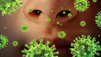 Opnieuw opduiken: wat is het Sars-virus en wat zijn de symptomen ervan? Hoe wordt het Sars-virus overgedragen?