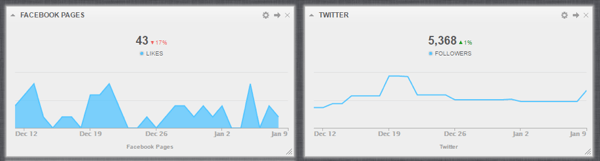 Cyfe geeft statistieken voor sociale media weer voor al uw sociale netwerken in één dashboard.