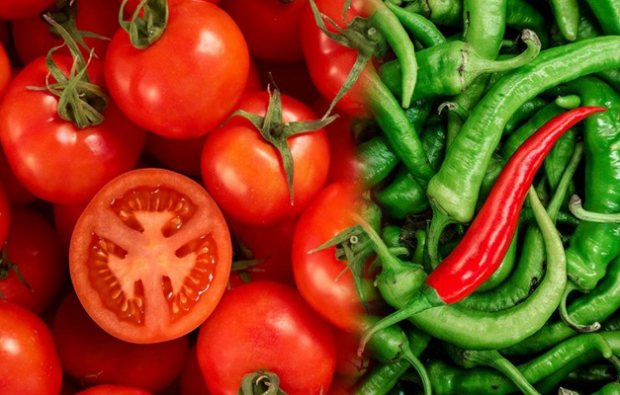 Verzwakt tomaat en peper