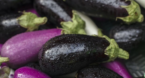 Hoe te eten met sintels aubergine? Het wonder van driedaagse geroosterde aubergine