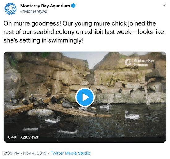 tweet van Monterey Bay Aquarium als een voorbeeld van de social media-stem van een merk