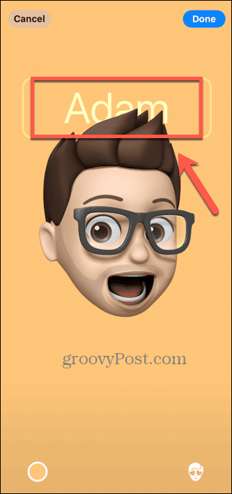 ios contact poster memoji-naam