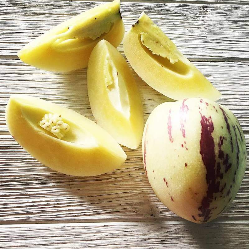 pepinofruit is rijk aan vitamine C.
