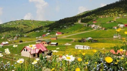 Hoe ga je naar het Ağrı Miraşe-plateau?