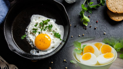 Wat is een gekookt eierdieet? 'Eier' dieet, verzwakking 12 kilo per week